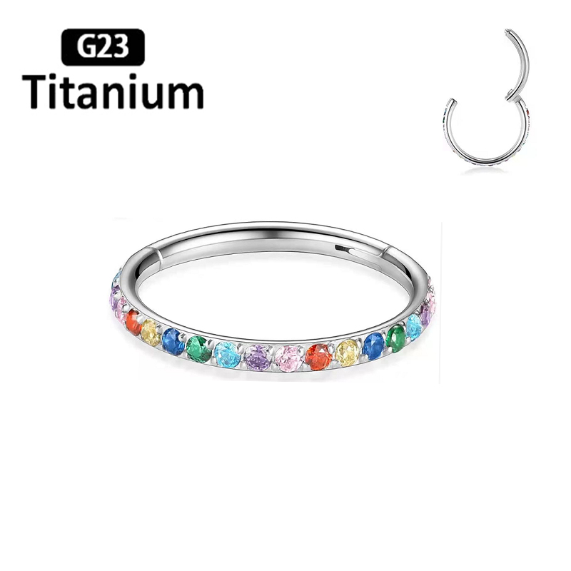 ASTM F136 Titan Ohrringe Hohe  – Body Piercing Quality Jewelry Bewertung und Preis