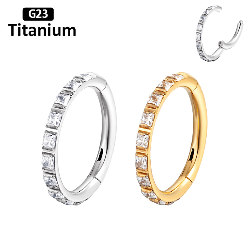ASTM F136 Titan Ohrringe Hohe  – Body Piercing Quality Jewelry Bewertung und Preis