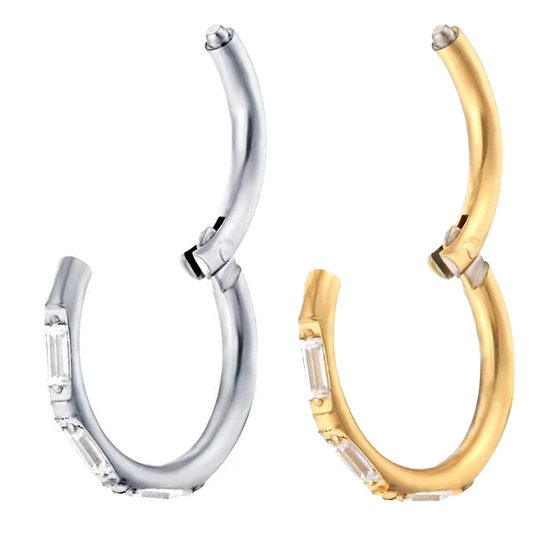 ASTM F136 Titan Ohrringe Hohe  – Body Piercing Quality Jewelry Bewertung und Preis