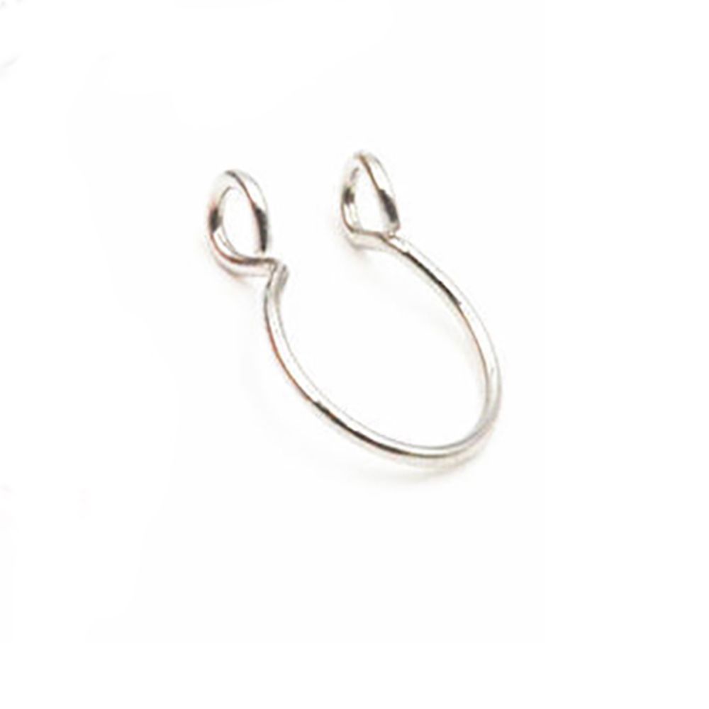 Kleine Helix-Knorpel-Ohrpierci – Body Jewelry Cartilage Earrings Bewertung und Preis
