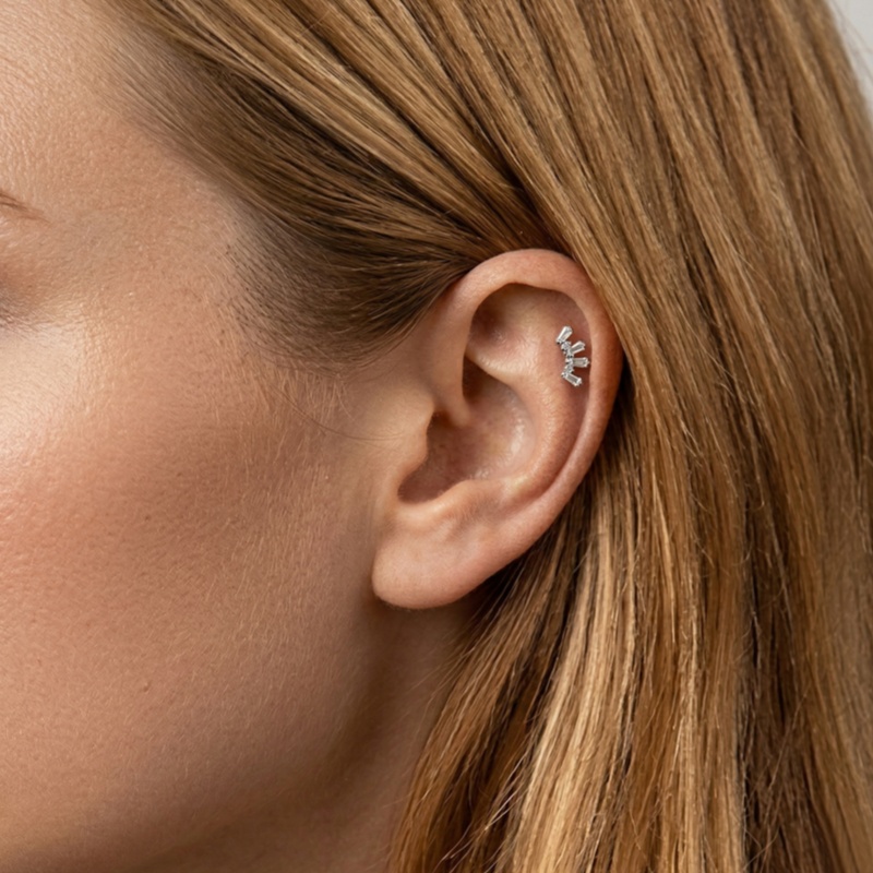 1 Stück ASTM Titan Helix Pierc – Body Jewelry Hypoallergenic Bewertung und Preis