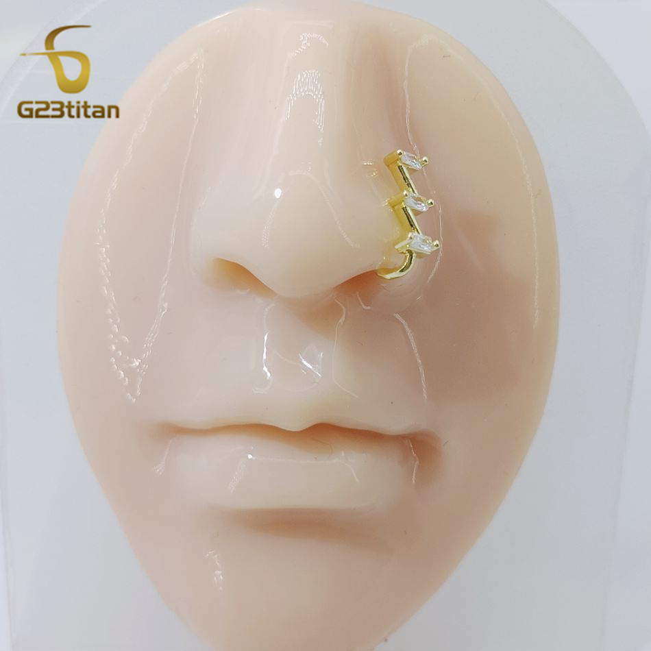 1pc gefälschte Nase Piercing R – Body Jewelry Cartilage Earrings Bewertung und Preis