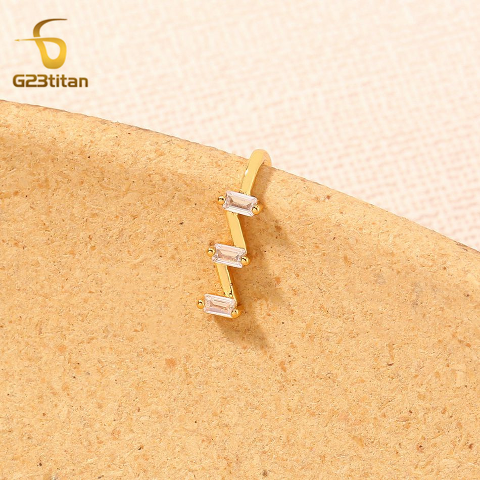 1pc gefälschte Nase Piercing R – Body Jewelry Cartilage Earrings Bewertung und Preis