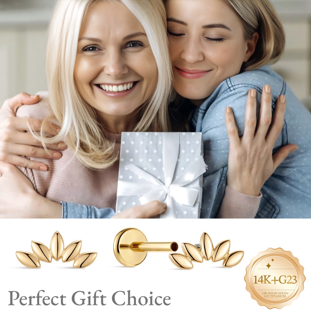 DIeSchein 14K Massivgold Ohrst – Body Jewelry Hypoallergenic Bewertung und Preis