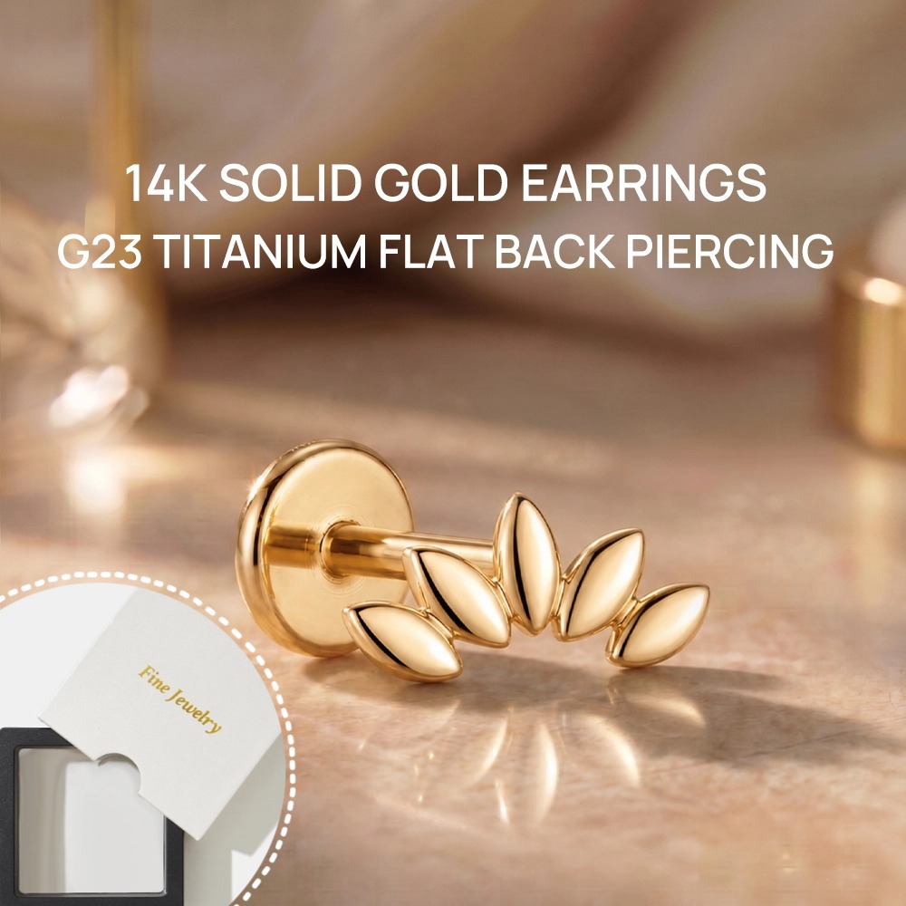 DIeSchein 14K Massivgold Ohrst – Body Jewelry Hypoallergenic Bewertung und Preis