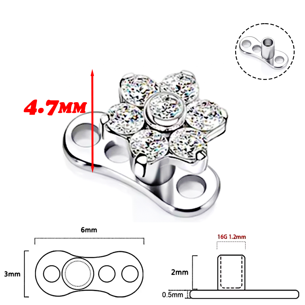 F136 Titanlegierung, hochwerti – Body Piercing Quality Jewelry Bewertung und Preis