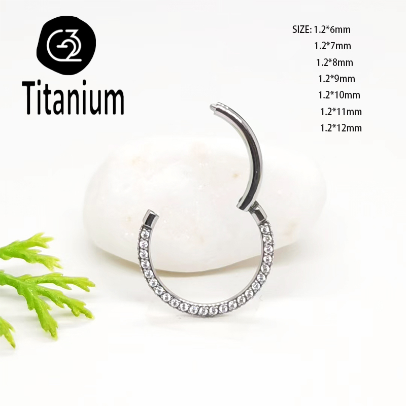 ASTM F136 G23 Titan Piercing S – Body Piercing Quality Jewelry Bewertung und Preis